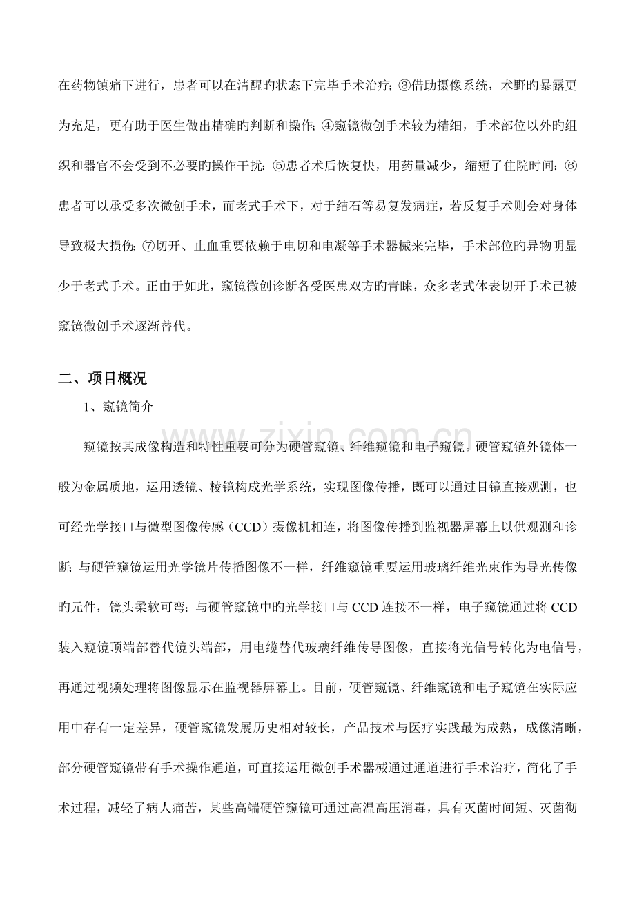 内窥镜项目分析报告模版.docx_第2页