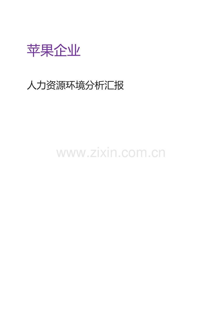 苹果公司人力资源环境分析报告模板.doc_第1页
