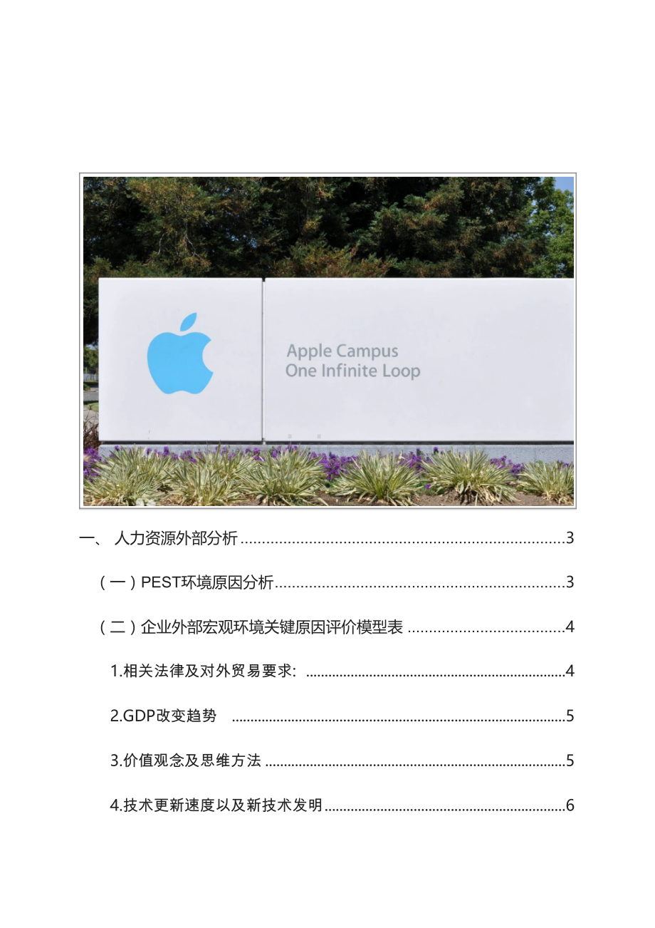 苹果公司人力资源环境分析报告模板.doc_第2页