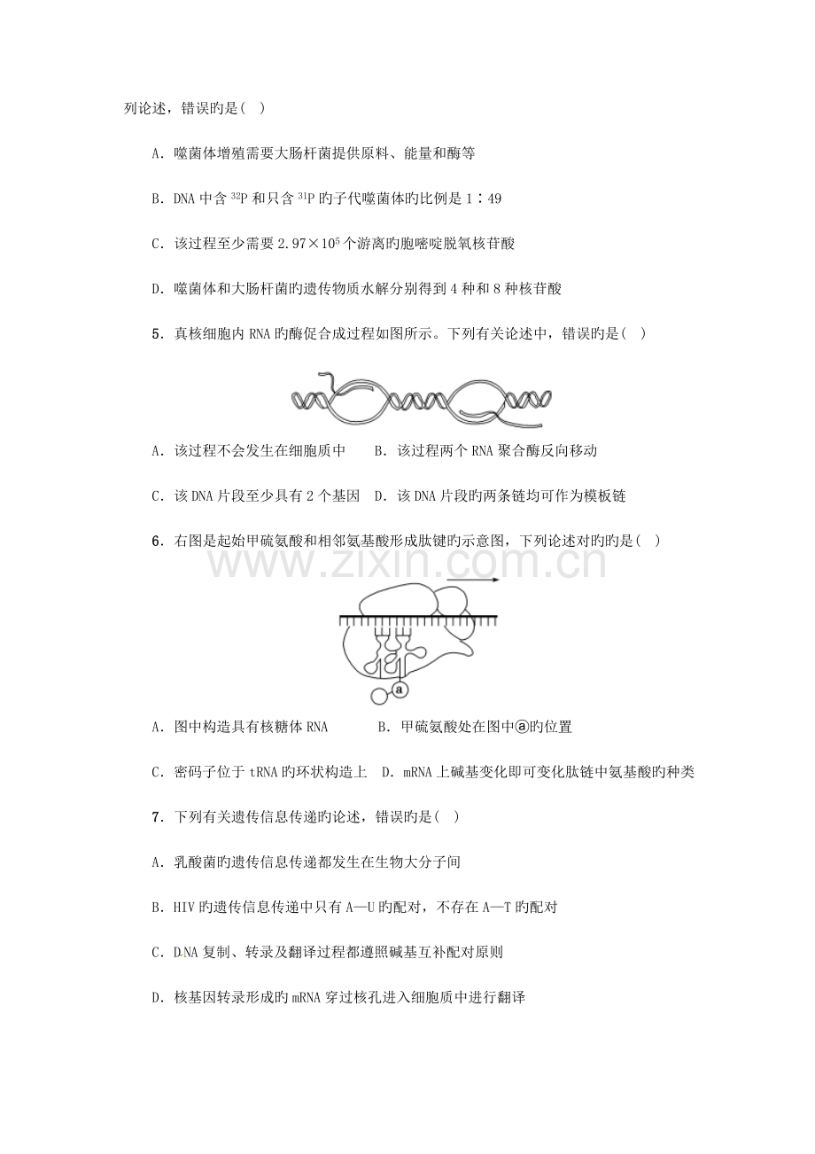 高中生物遗传与进化期末测试题.doc_第2页