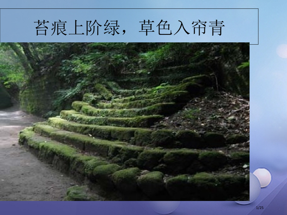 七年级生物下册第五单元第11章地面上的生物第1节地面上的植物第三课时蕨类植物和苔藓植物.pptx_第1页