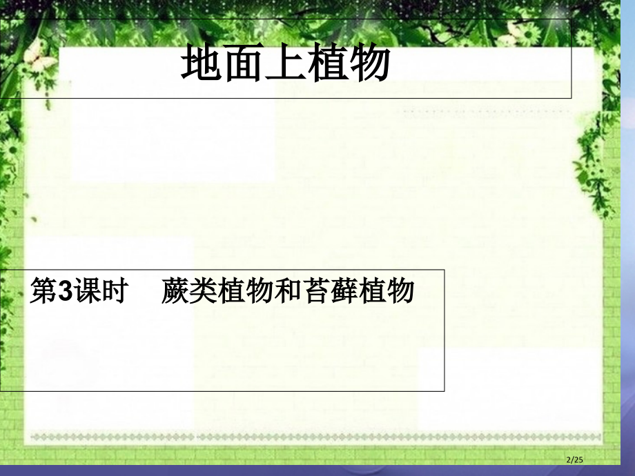 七年级生物下册第五单元第11章地面上的生物第1节地面上的植物第三课时蕨类植物和苔藓植物.pptx_第2页