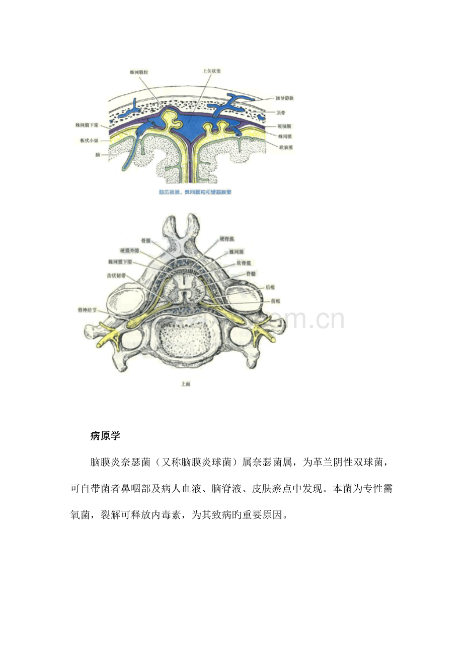 2023年病例分析化脓性脑膜炎流行性脑脊髓膜炎执业医师实践技能强化精讲课程讲义.doc_第2页