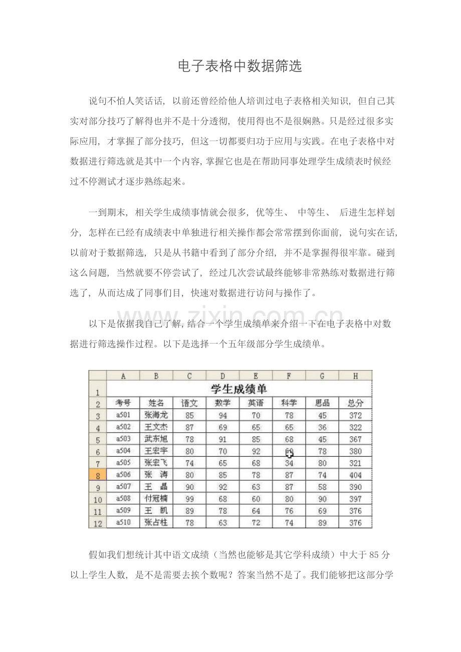 电子表格中数据的筛选模板.doc_第1页