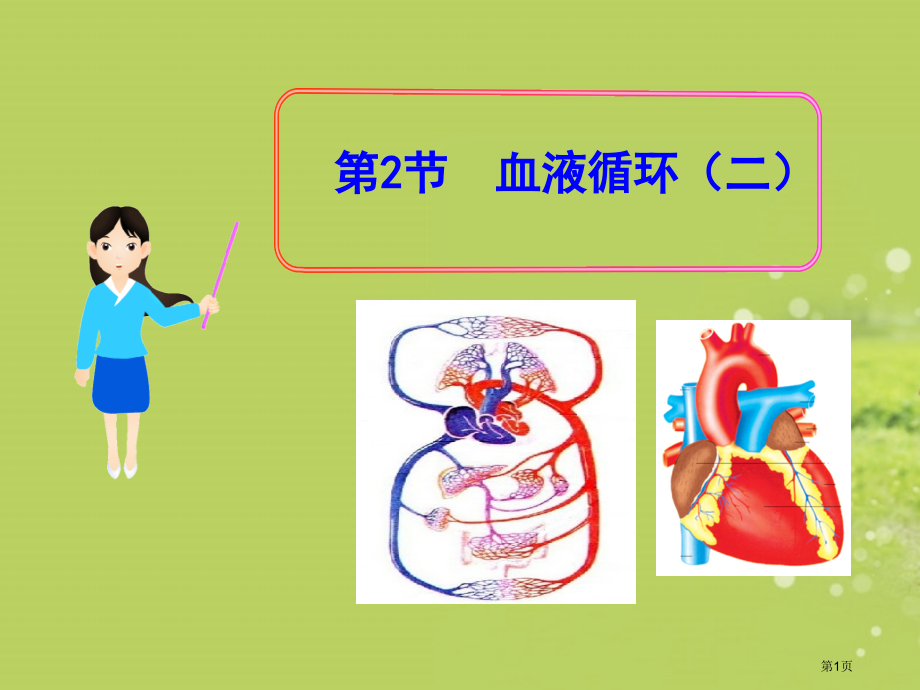生物：--第2节-血液循环-(北师大版七年级下).pptx_第1页