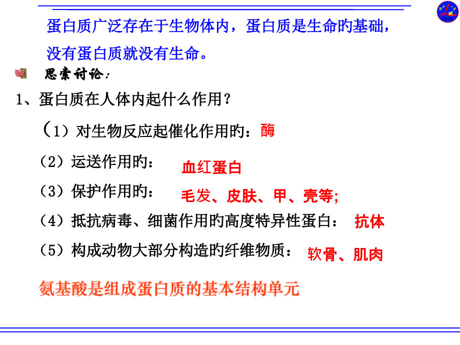 高中化学选修五第四章第三节蛋白质和核酸(上课用).pptx_第2页