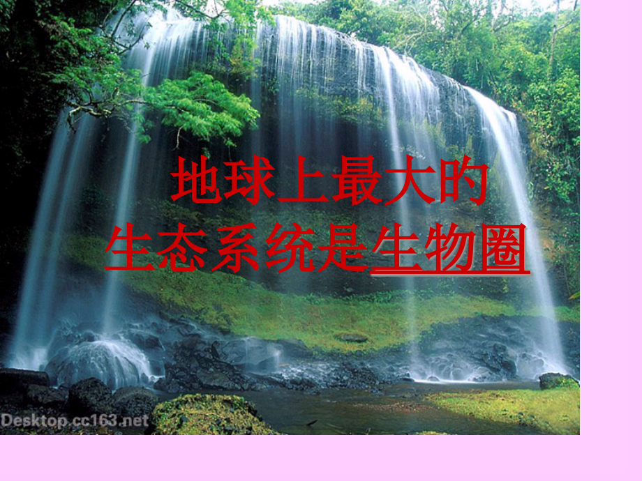 新人教版七年级上册生物圈是最大的生态系统.pptx_第2页