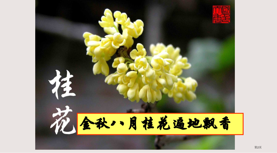 人教版九年级化学上册教学《第三单元课题1-分子和原子》.pptx_第2页