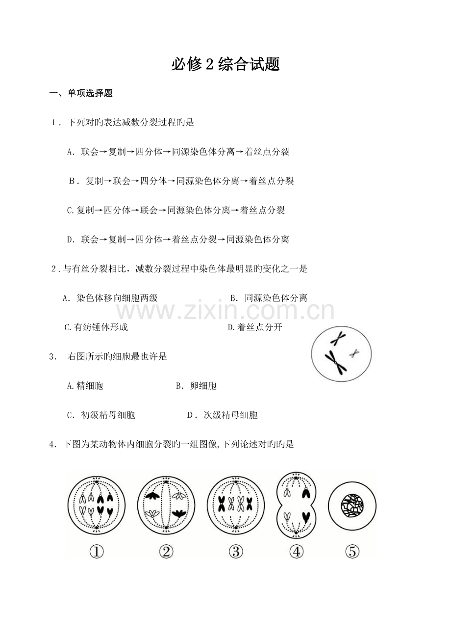 2023年生物学业水平测试必修二.doc_第1页