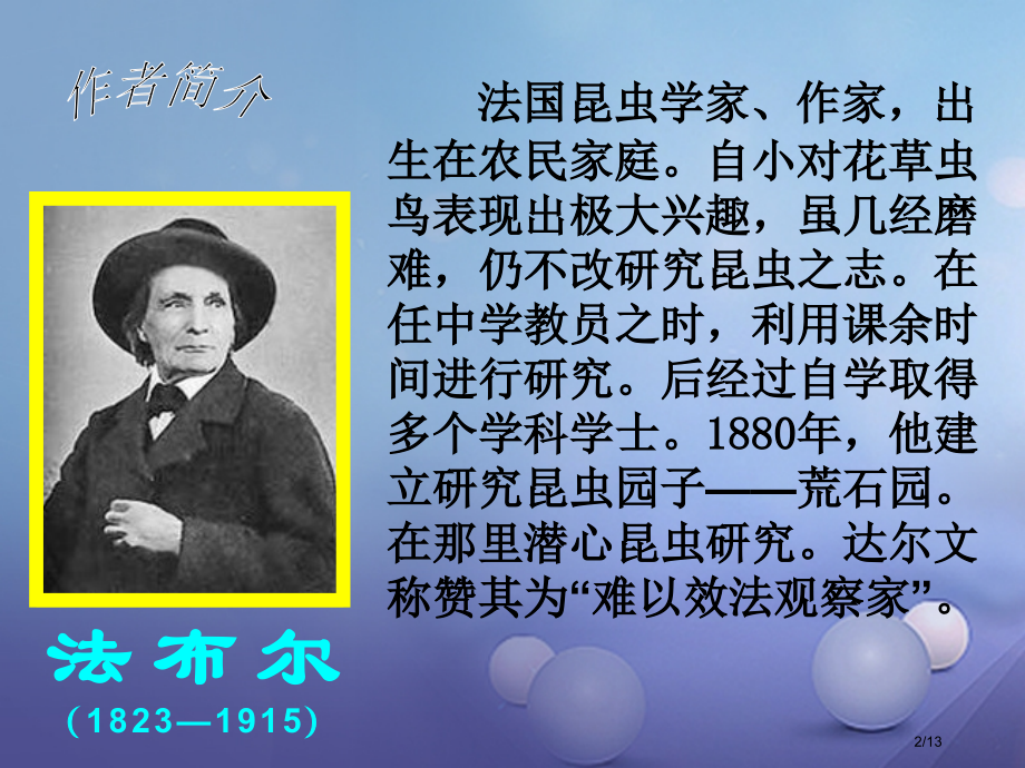 七年级语文下册第四单元十六松树金龟子.pptx_第2页