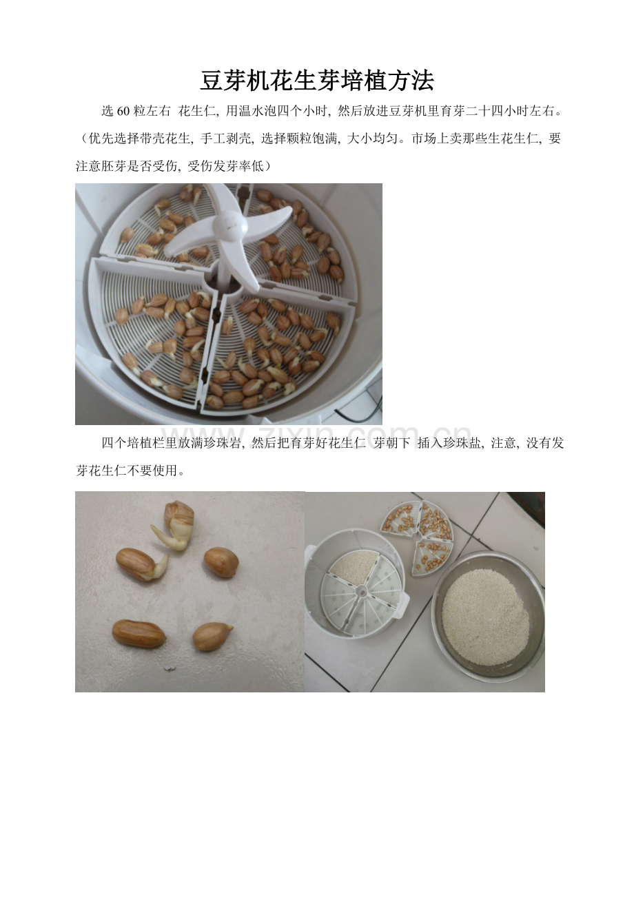 豆芽机花生芽培植技术.doc_第1页
