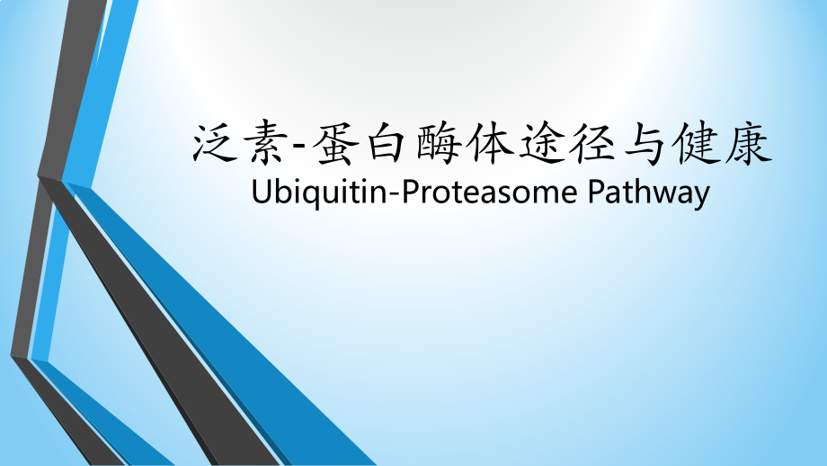 蛋白质泛素化与健康.pptx_第1页