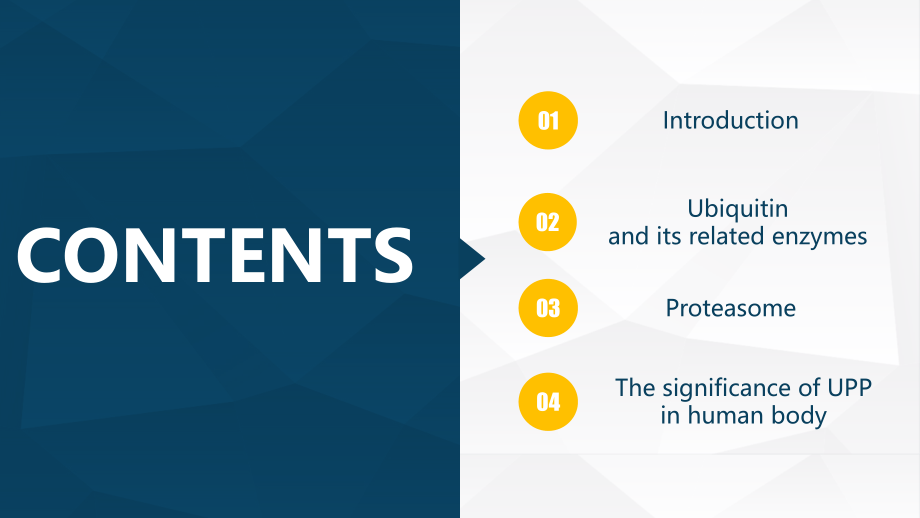 蛋白质泛素化与健康.pptx_第2页