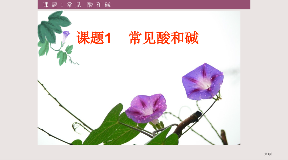 人教版九年级化学下册第十单元课题1常见的酸和碱.pptx_第1页