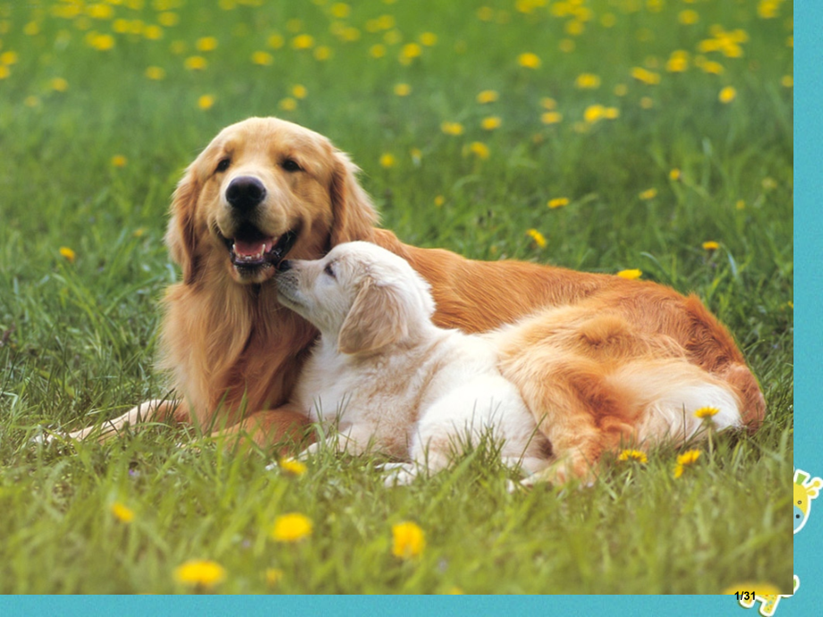 四川省南充市营山县七年级生物上册2.2.3植物体的结构层次.pptx_第1页