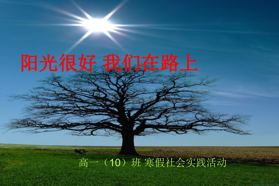 新昌中学高一10班寒假社会实践活动展.pptx_第1页