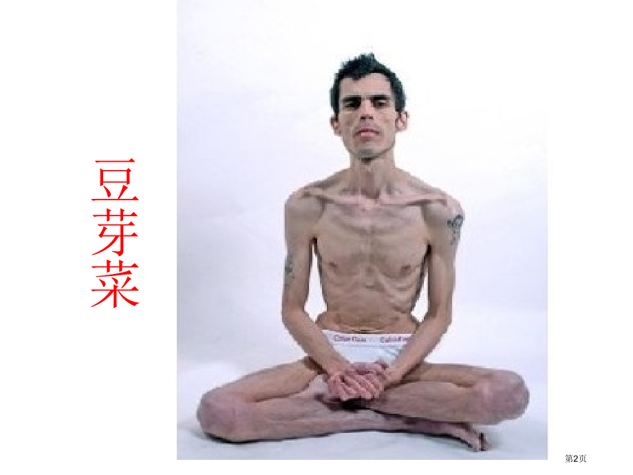 苏教版小学科学四年级上册《怎样搭配食物》.pptx_第2页