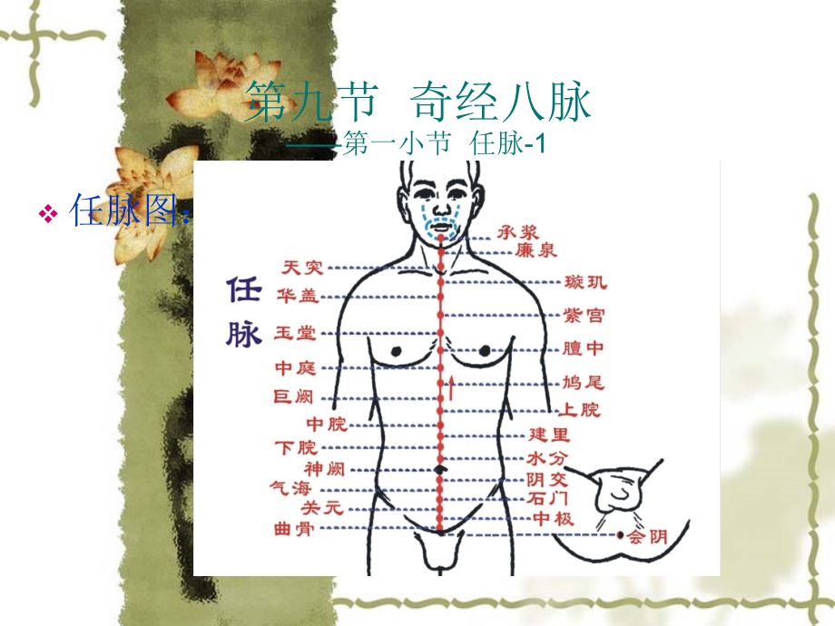 任督二脉及经外奇穴.ppt_第2页