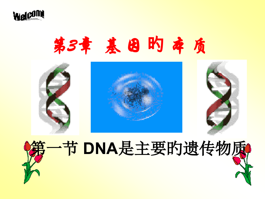 DNA是主要的遗传物质专业知识.pptx_第1页