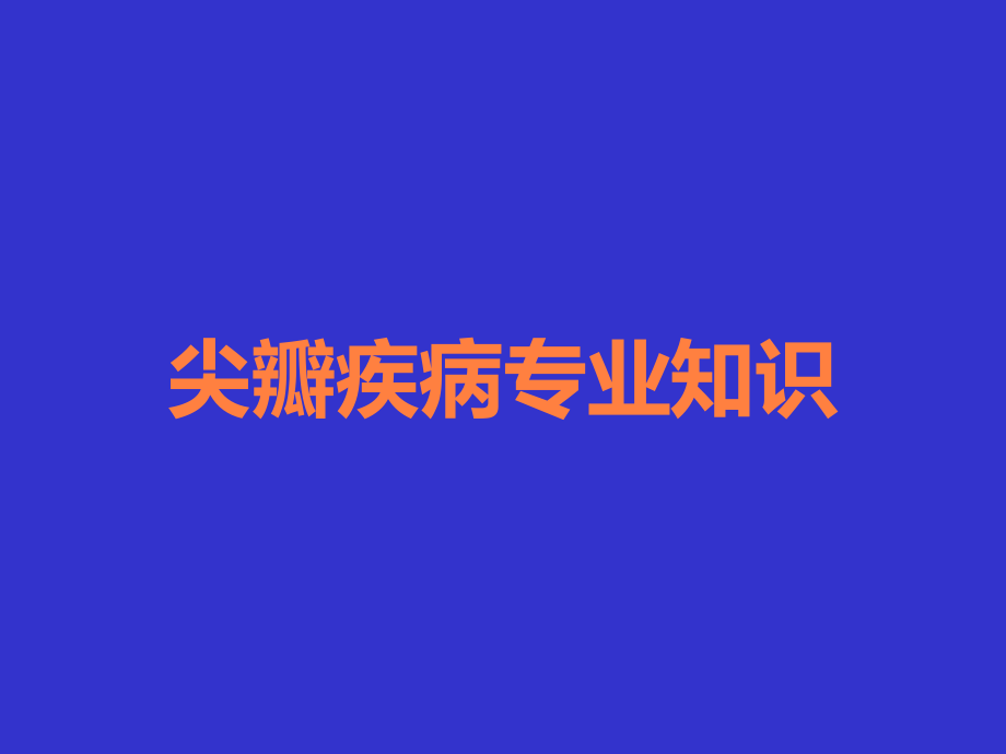 尖瓣疾病专业知识.ppt_第1页