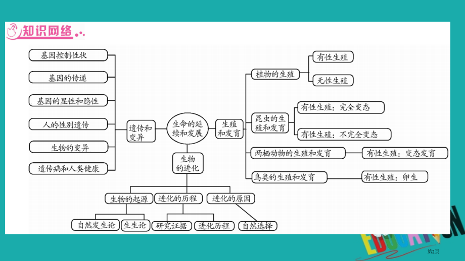 中考生物总复习知能综合突破专题5生物的生殖发育和遗传.pptx_第2页