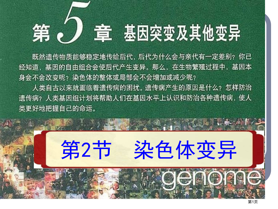 高中生物必修二--52染色体变异.pptx_第1页