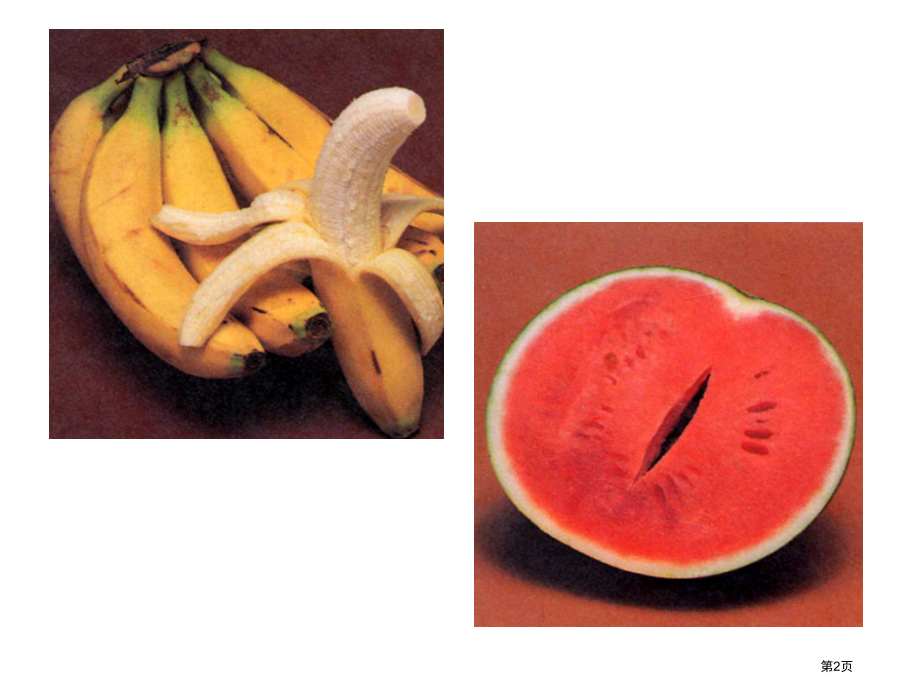 高中生物必修二--52染色体变异.pptx_第2页