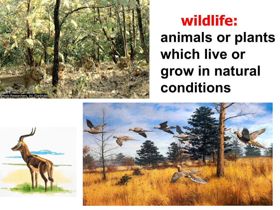 高一英语必修2-unit4-reading.pptx_第2页