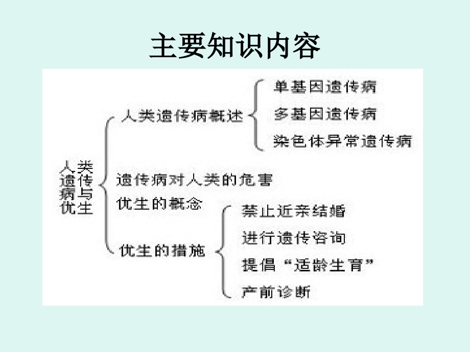 人类遗传和优生概述.pptx_第2页