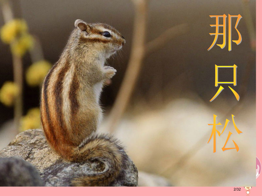 四年级语文上册第五单元那只松鼠备.pptx_第2页