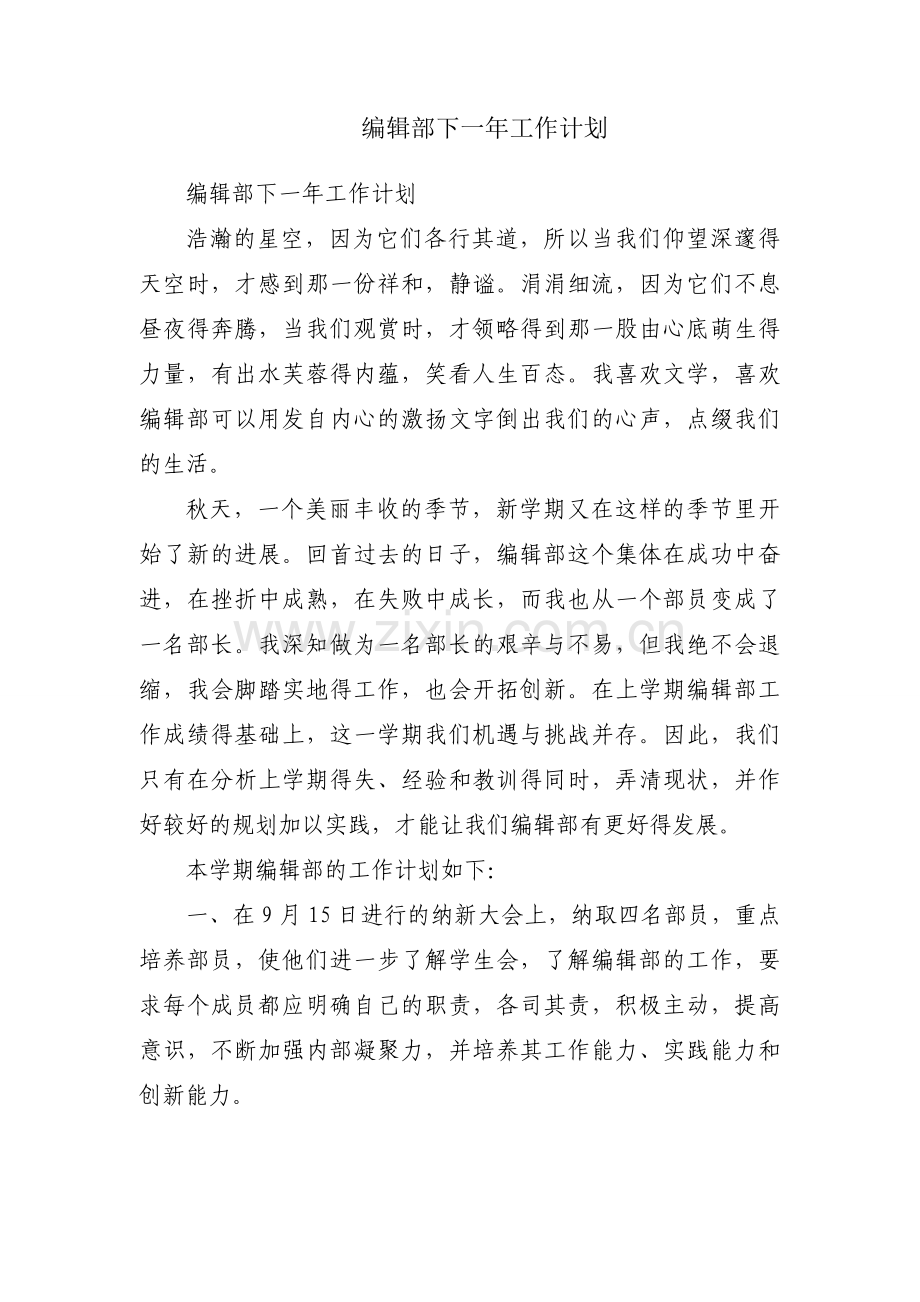 编辑部下一年工作计划.docx_第1页