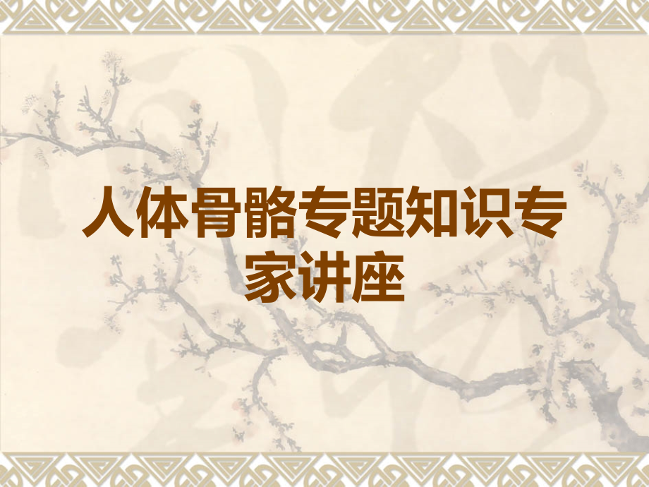 人体骨骼专题知识专家讲座.ppt_第1页