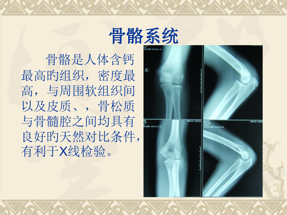 人体骨骼专题知识专家讲座.ppt_第2页
