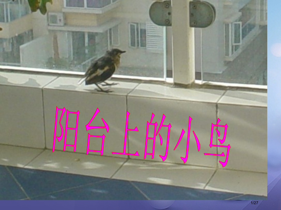 一年级语文下册课文25阳台上的小鸟.pptx_第1页