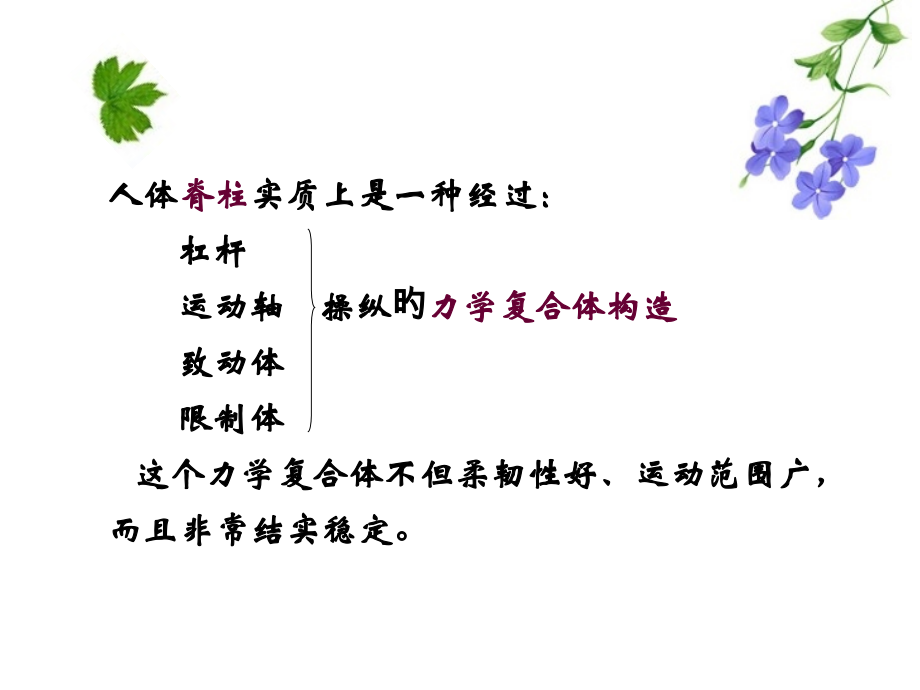 脊柱的生物力学.ppt_第2页