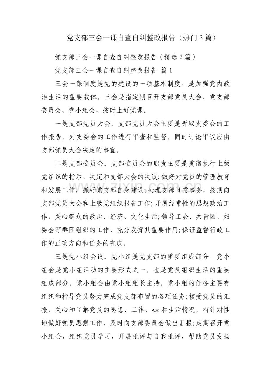 党支部三会一课自查自纠整改报告（热门3篇）.docx_第1页