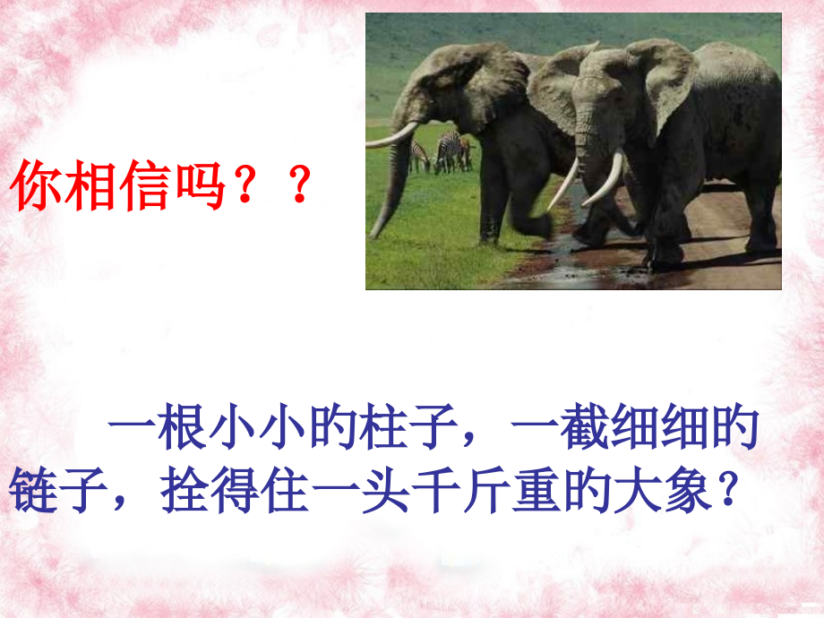 中学生习惯养成教育主题班会.pptx_第2页