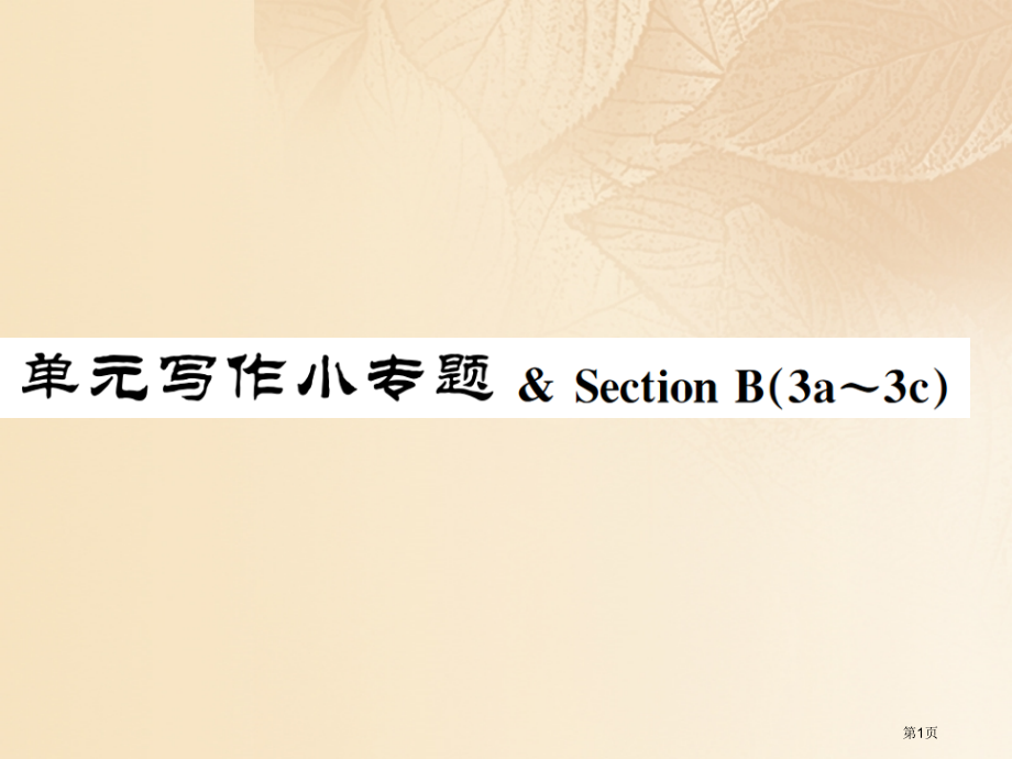 七年级英语上册-Unit-5-Do-you-have-a-soccer-ball写作小专题-&-Se.pptx_第1页