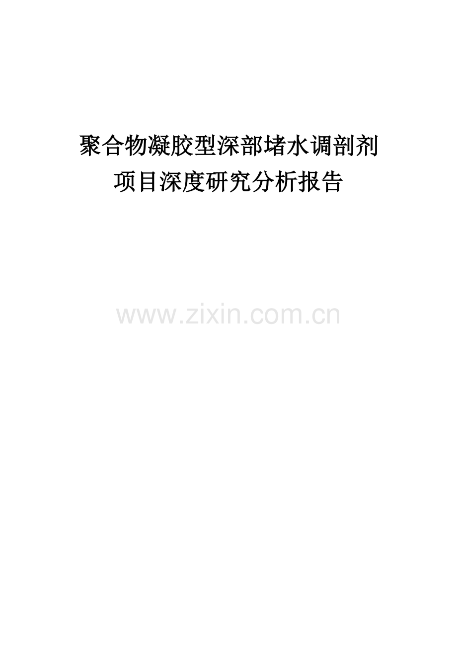 2024年聚合物凝胶型深部堵水调剖剂项目深度研究分析报告.docx_第1页