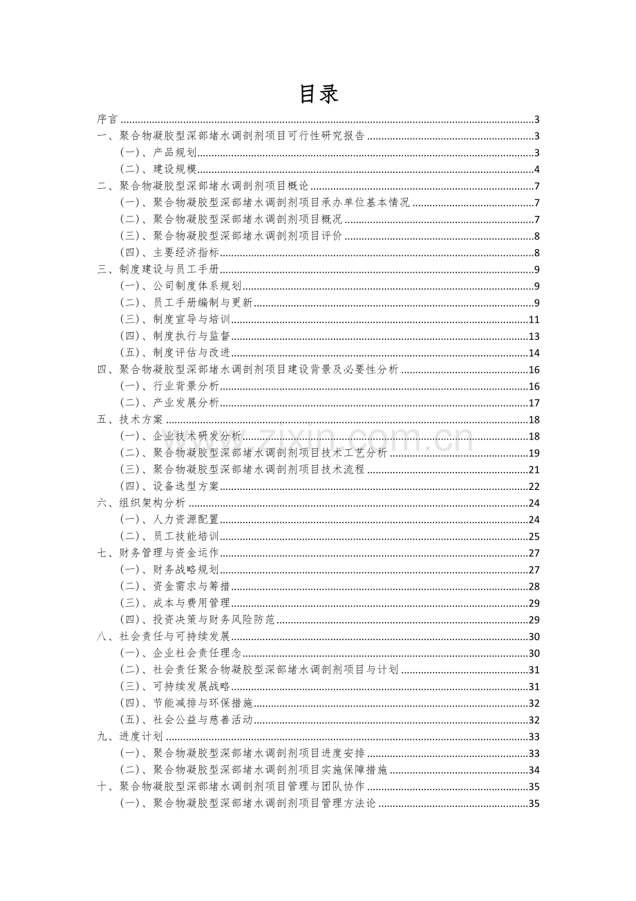 2024年聚合物凝胶型深部堵水调剖剂项目深度研究分析报告.docx_第2页