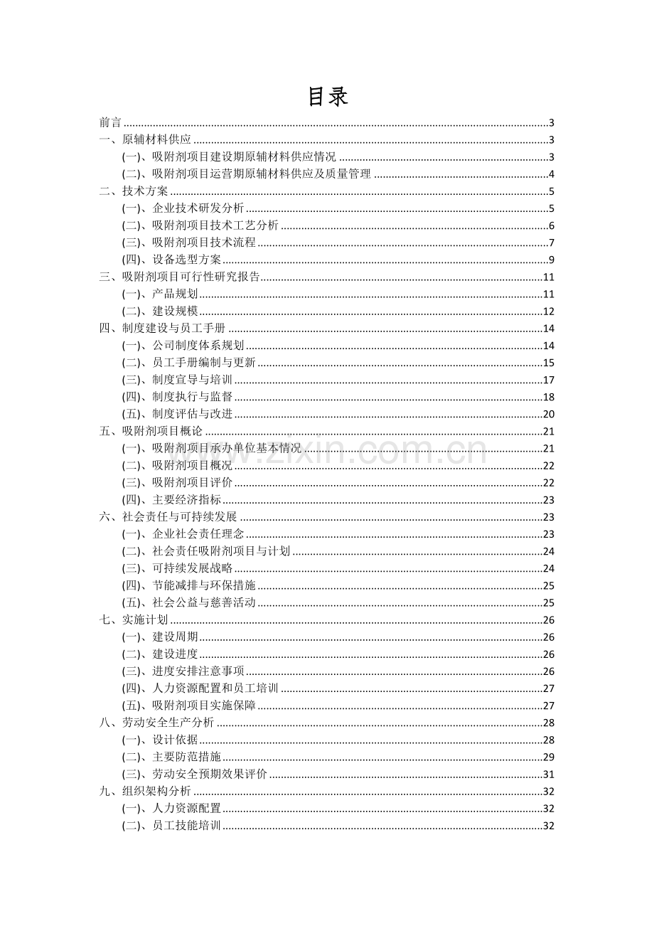 2024年吸附剂项目可行性研究报告.docx_第2页