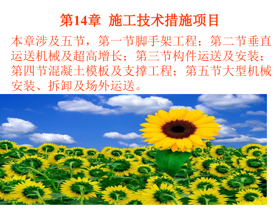 脚手架工程专业知识讲座.pptx_第2页