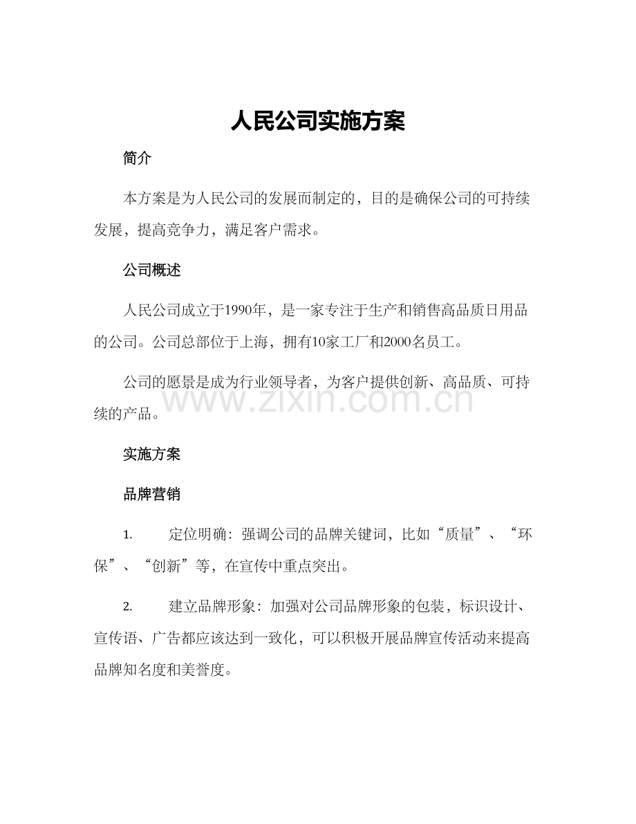 人民公司实施方案.docx_第1页