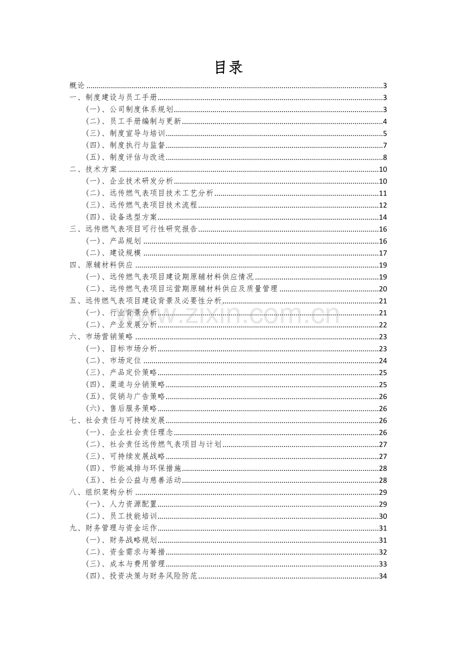 2024年远传燃气表项目投资分析及可行性报告.docx_第2页