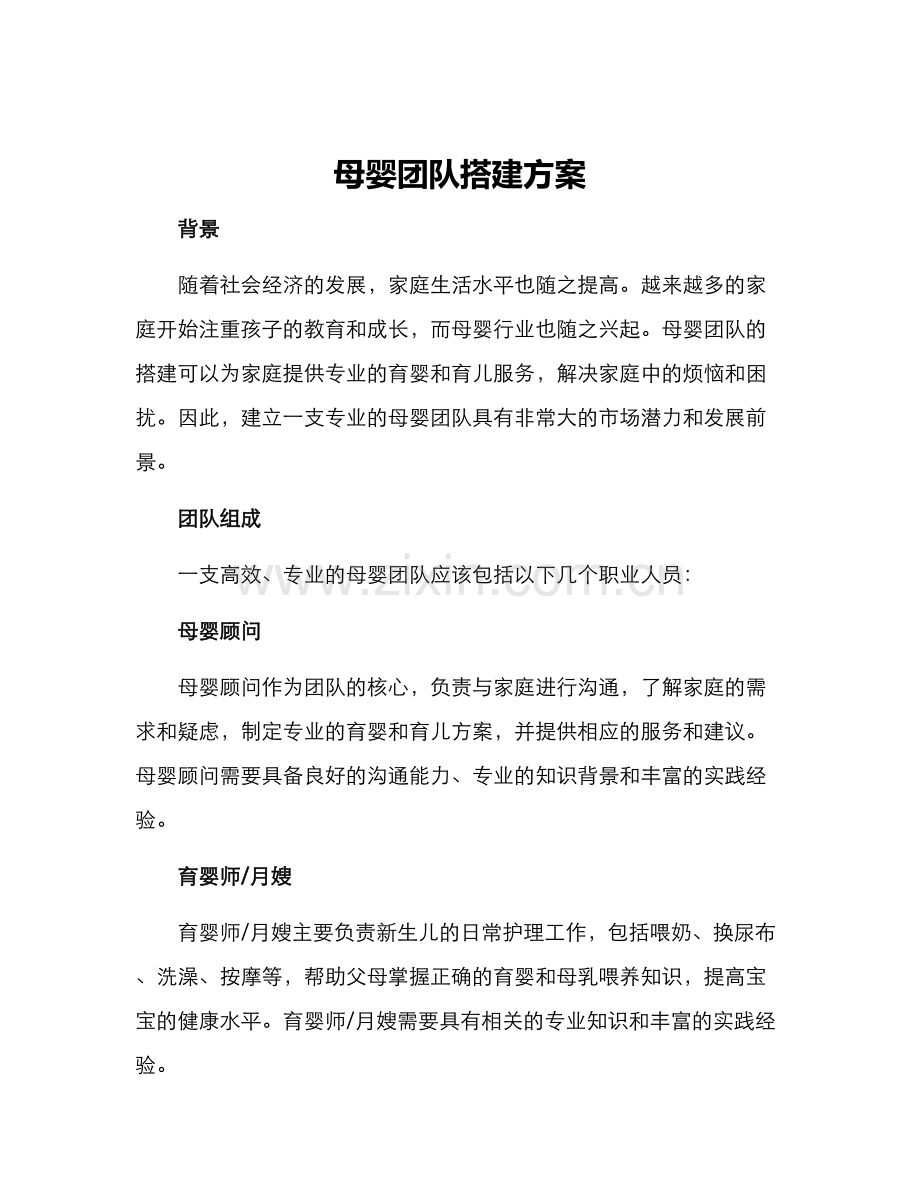 母婴团队搭建方案.docx_第1页