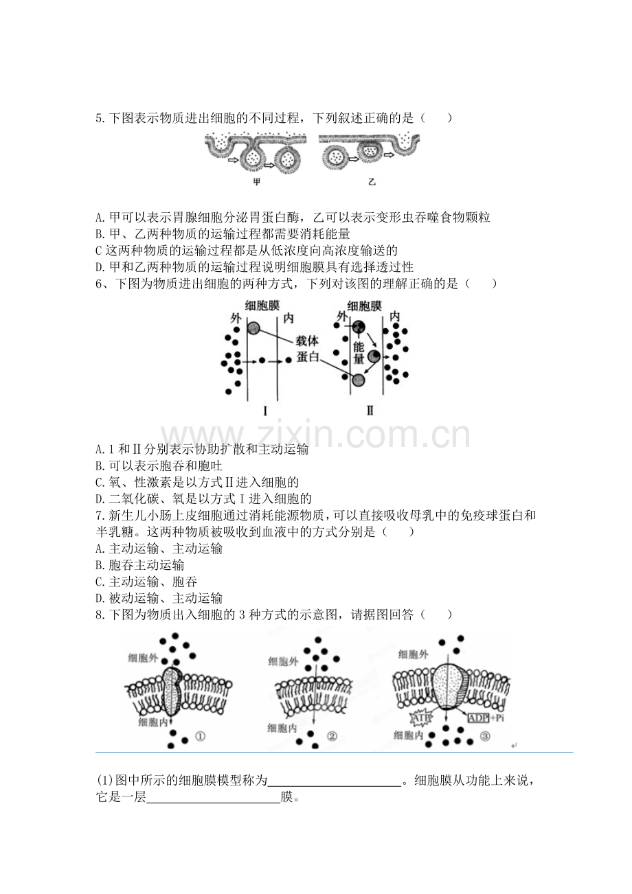 主动运输与胞吞胞吐练习【新教材】人教版(2019)高中生物必修一.doc_第2页