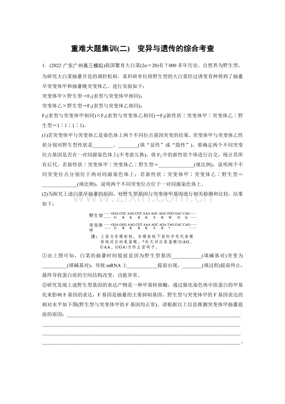 第一篇-专题六-重难大题集训(二)-变异与遗传的综合考查.docx_第1页