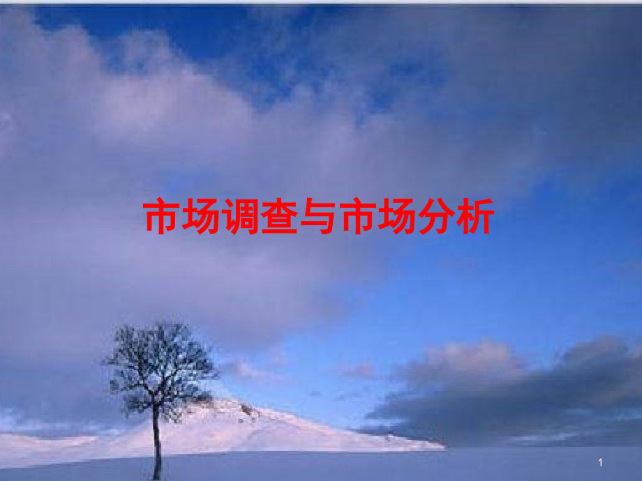 市场调查与市场分析.ppt_第1页