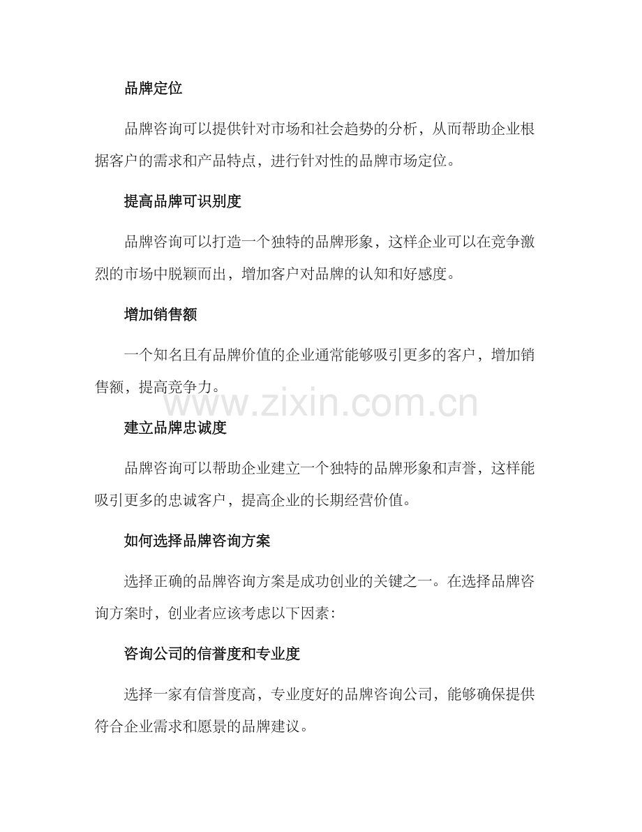 品牌咨询创业方案.docx_第2页