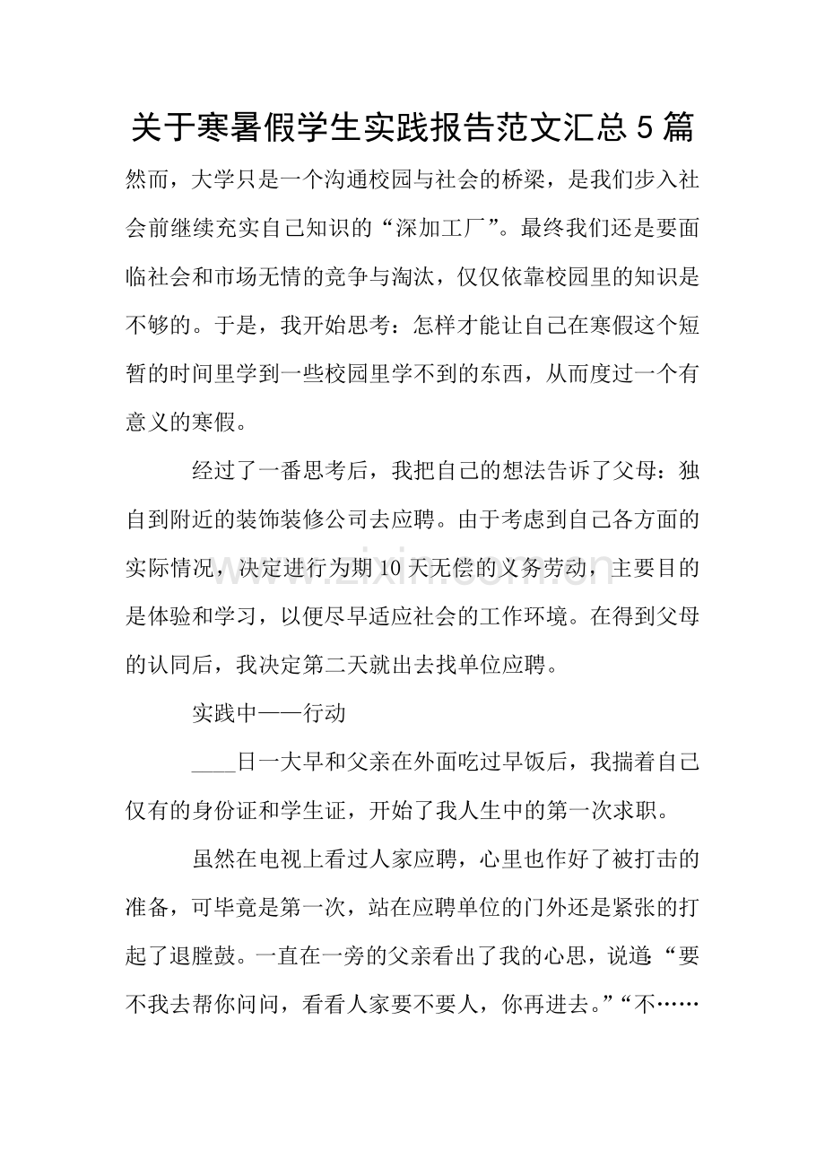 关于寒暑假学生实践报告范文汇总5篇.doc_第1页
